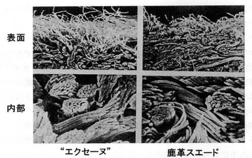 八木005