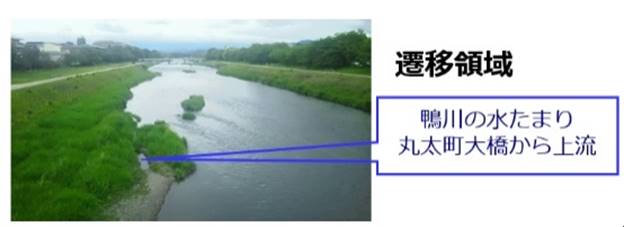 ダイアグラム

自動的に生成された説明