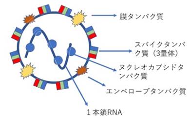 時計 が含まれている画像

自動的に生成された説明